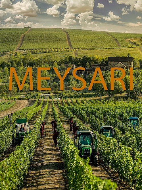 Meysari Wine Factory